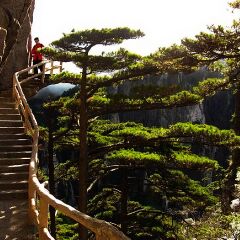 景点模块 