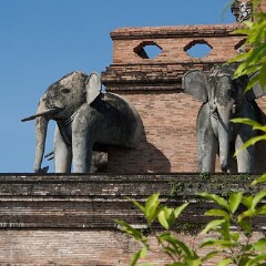 小交通模块 