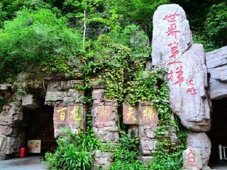 湖南張家界組團(tuán)旅游_組團(tuán)去湖南張家界_湖南張家界游8月份報(bào)價(jià)
