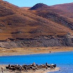 景点模块 