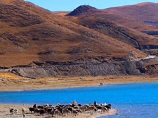 西藏拉薩旅行跟團(tuán)_2021去西藏拉薩旅游團(tuán)報(bào)價(jià)_西藏拉薩旅游價(jià)格