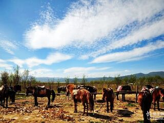 云南瀘沽湖報(bào)團(tuán)多少錢_深圳特價(jià)云南瀘沽湖游_云南瀘沽湖旅游需要多少錢