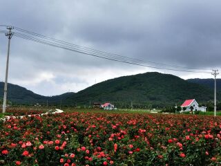 海南三亞旅游價(jià)格多少跟團(tuán)_8月海南三亞旅游_海南三亞游組團(tuán)