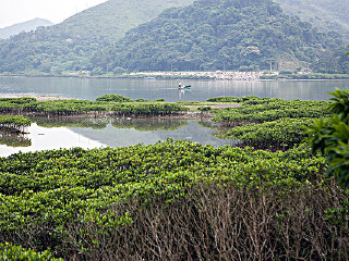 2021去斯里蘭卡跟團(tuán)多少錢_香港旅游團(tuán)斯里蘭卡_斯里蘭卡旅游組團(tuán)