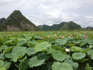 东莞到西双版纳游_深圳西双版纳旅游报价_西双版纳跟团旅游报价