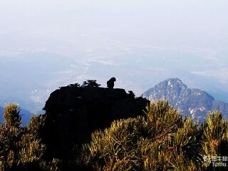 黃山游8月份報價_黃山半自由行_黃山自由行還是跟團好