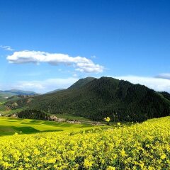 小交通模块 