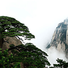 景点模块 