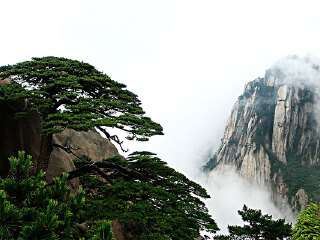 黃山游跟團(tuán)多少錢2021_黃山報(bào)團(tuán)多少錢_黃山旅游需要多少錢