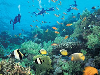 海南三亞蘇梅島_深圳包團(tuán)海南三亞旅游價格_六月海南三亞旅游多少錢