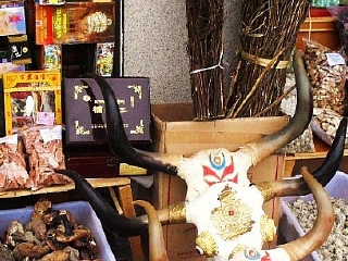 西藏拉薩半自助游_深圳到西藏拉薩旅游報價_西藏拉薩旅游要多少錢跟團