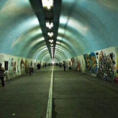 活动模块 