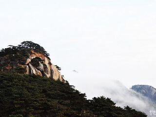 黃山旅游需要多少錢_去黃山旅游_去黃山游怎么省錢