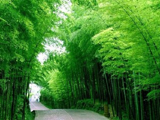 华东旅游报团价格_华东七日游价格_华东游跟团多少钱2023