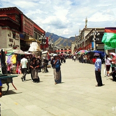活动模块 
