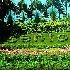 景点模块 