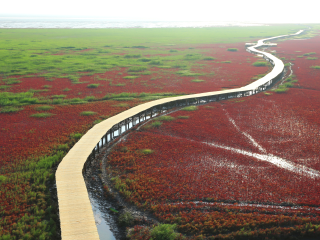 大连11日游跟团费_广州到大连旅游_大连7日跟团旅游