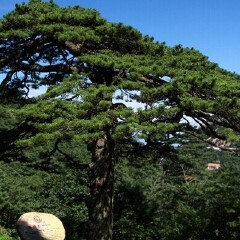 景点模块 