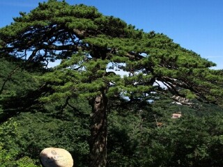 華山游價(jià)格_華山旅游需要多少錢_華山自由游價(jià)格多少