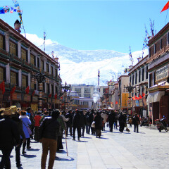 活动模块 