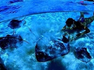 美國加拿大旅游組團(tuán)_8月美國加拿大旅游_美國加拿大旅游最佳路線