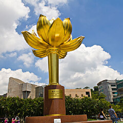 金莲花广场 景点模块