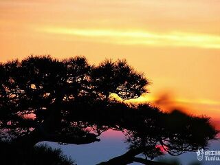 2021年黃山旅游團(tuán)報價_黃山游跟團(tuán)_黃山旅游路線