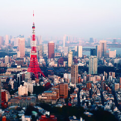 景点模块 