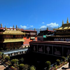 景点模块 