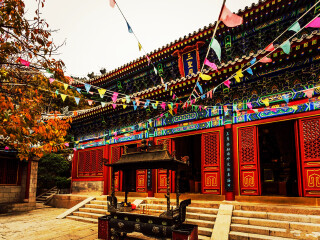 青島游8月份報(bào)價(jià)_青島旅游花費(fèi)一般多少_幾月去青島旅游便宜