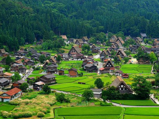 十月份去日本好嗎_日本旅游大概多少錢_日本旅游幾月份最好