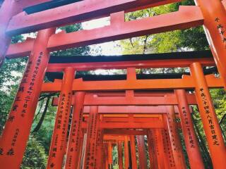 十月份去日本好嗎_日本旅游大概多少錢_日本旅游幾月份最好