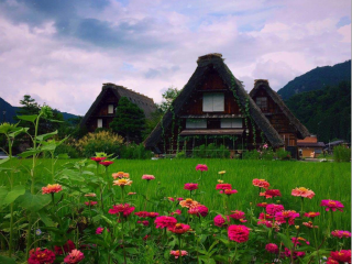 十月份去日本好嗎_日本旅游大概多少錢_日本旅游幾月份最好