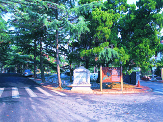 山東青島跟團(tuán)還是自由行_跟團(tuán)山東青島旅游價格表_山東青島游報價