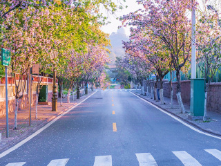 山東青島跟團(tuán)還是自由行_跟團(tuán)山東青島旅游價格表_山東青島游報價
