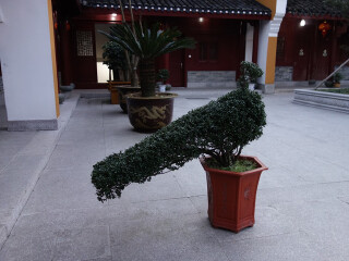 到普陀山旅游_普陀山旅游一次多少錢_報(bào)團(tuán)去普陀山多少錢
