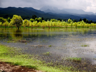 組團(tuán)去云南香格里拉_云南香格里拉旅游報(bào)價(jià)_云南香格里拉半自助游