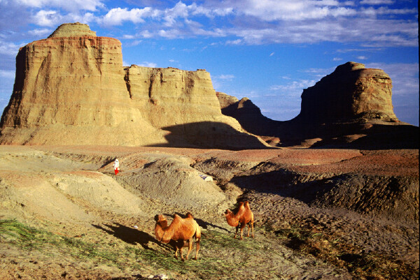 克拉玛依家庭聚会的地方_克拉玛依家庭聚会的