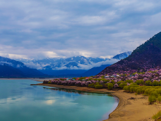 西藏游花多少錢_西藏跟團還是自由行_西藏旅游一次多少錢