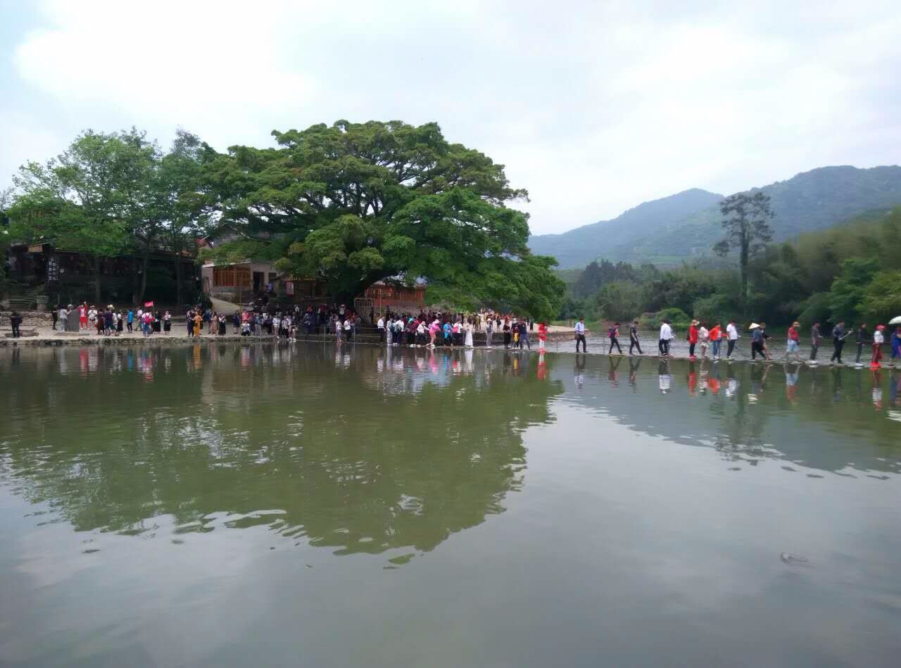 四月的福建风和日丽景色宜人
