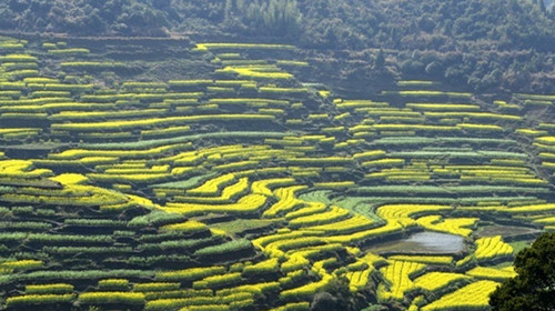 篁岭梯田