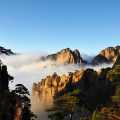 景点模块 