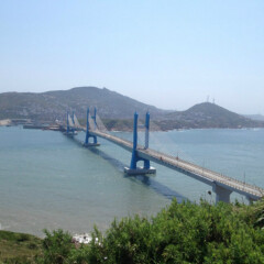 活动模块 