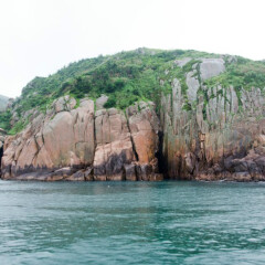 活动模块 