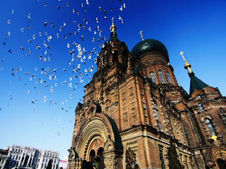最近哈尔滨旅游_哈尔滨私人定制旅游_哈尔滨十日游报价