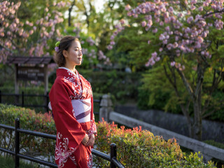 日本自由行费用_日本游旅行团_日本旅游普吉岛价格