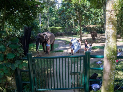巴厘岛大象动物园