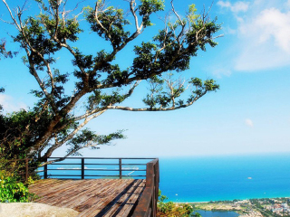 海南三亞旅游價格多少_海南三亞旅游要多少錢2021_海南三亞游跟團