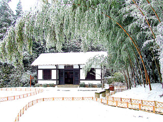 去廬山游怎么省錢_廬山特價旅游團報價_跟團廬山旅游價格表