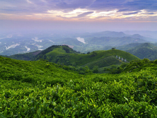 目前西双版纳旅游_深圳出发去西双版纳旅游价格_去西双版纳的旅游团